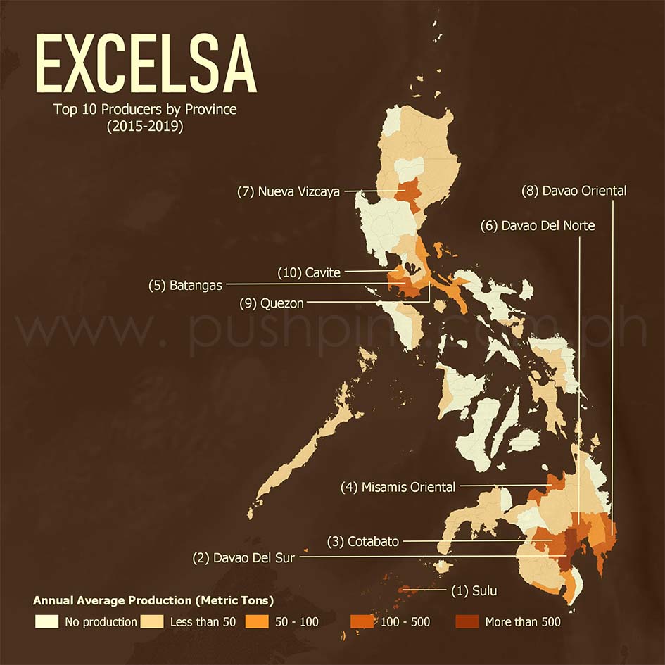 kinds of coffee in the philippines excelsa