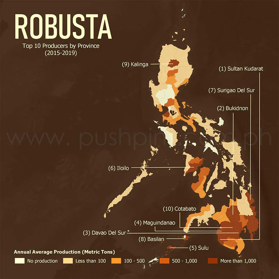 kinds of coffee in the philippines robusta